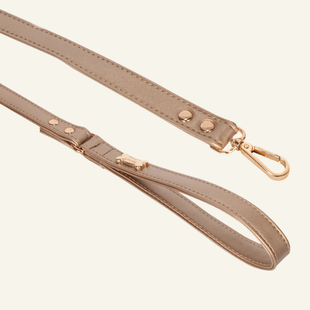 Dog Lead with Gold Plated Bone | Gold 🐾 - PAW LONDON