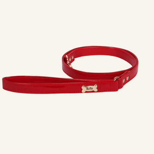 Basic Dog Leash | Red - PAW LONDON
