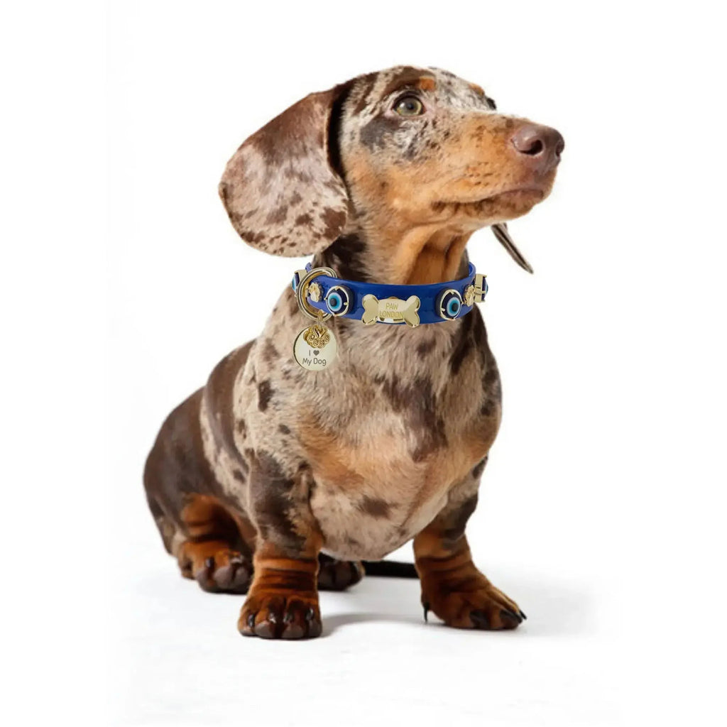 Evil Eye Dog Collar Royal Blue 🧿 - PAW LONDON